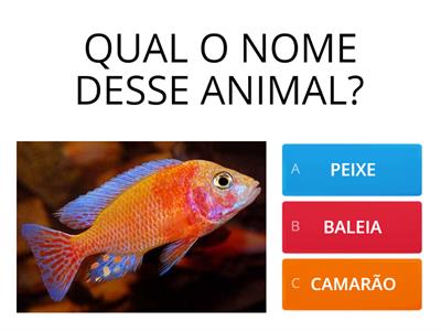 JOGO DOS ANIMAIS MARINHOS.