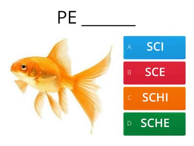 SCI SCE SCHI SCHE SCIE