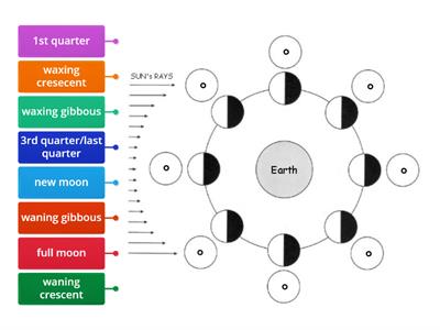 Moon Phases