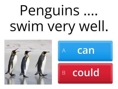 Review "Using Can and Could "