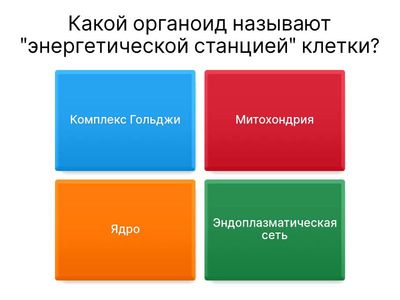 Животная клетка