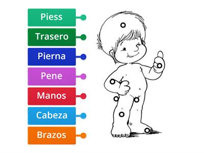 Partes del cuerpo - niño 1