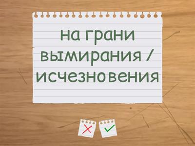 environmental problems 