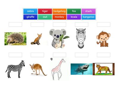 Unit 2 kl3 zwierzeta dodatkowe  pisanie