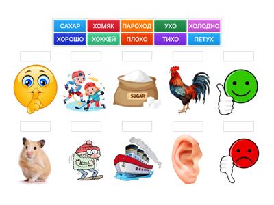 Cлова-19 РКИ. Буква Х