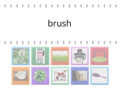 Camille review CCVCC Words