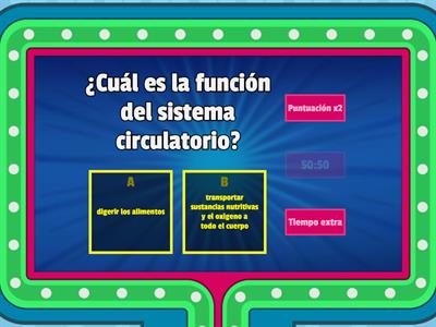 sistema circulatorio