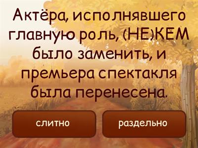 ЕГЭ 13. НЕ с местоимениями