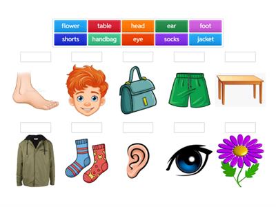 SUPER STARTERS - REVISION FOR BIG TEST (1) 