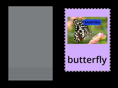 ДИКИЕ ЖИВОТНЫЕ 3.2 обучение карточки