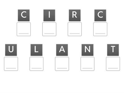 Activele circulante 
