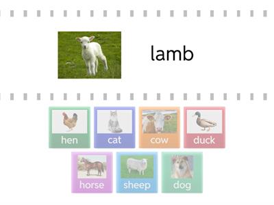 Bugs Team 2 - unit 2 Baby animals