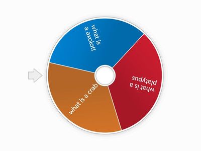 animal classification