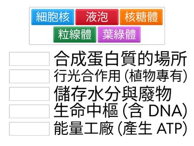 技高生物A - 細胞構造挑戰
