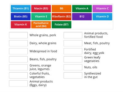 Vitamin Rich Food Source