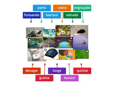 Vocabulário crônica