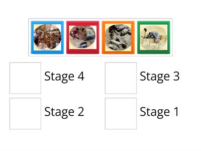 Social Science Unit 5