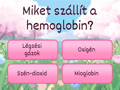 Emberi test összefoglaló