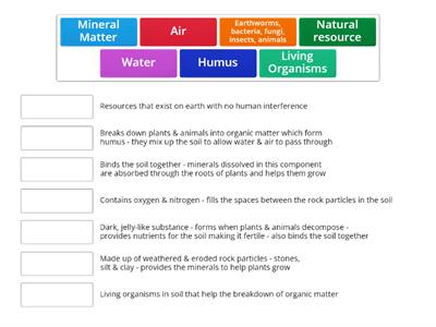 Components of Soil Match-Up