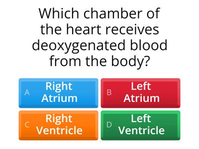 Jayden Joseph Heart Quiz For Sigma's 