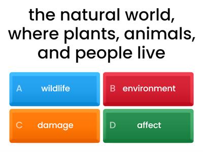 Environment Vocab