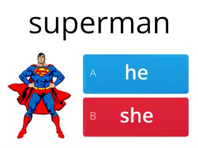 Personal pronouns -he she