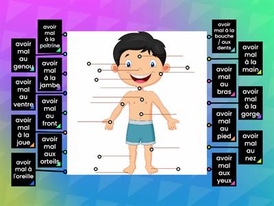 Avoir mal + vocabulaire