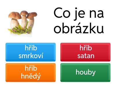 KVÍZ INFORMATIKA