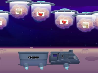 actividad facu FL FR