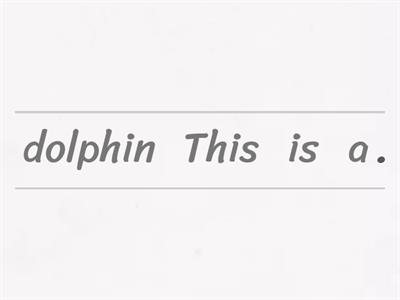 Put the words in correct order 