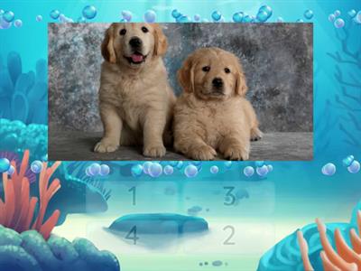 Бројеви од 1 до 4