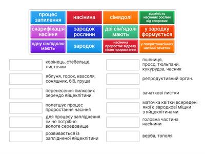 Насінні рослини