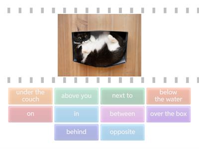ESL L1 : Prepositions of Place