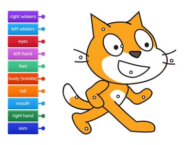 Label the scratch cat