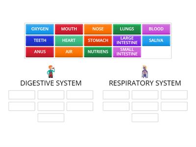 RESPIRATORY SYSTEM AND DIGESTIVE SYSTEM