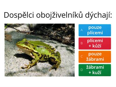 Obojživelníci