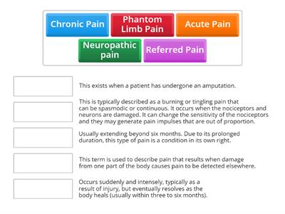 Types of Pain