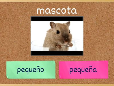 Espanjan ajektiivin taivutus