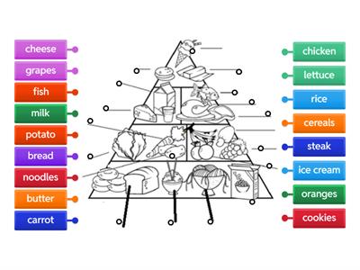 food pyramid