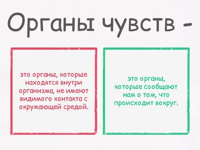 Органы чувств
