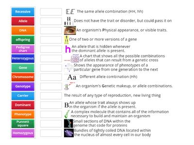 Genetics Vocabulary 2