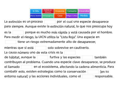 ACTIVIDAD DE REFUERZO 2