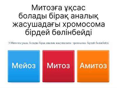 Порно ресейлік әйелді жыныстық қатынасқа түсуге алдап жіберді