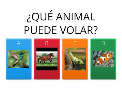 Clasificar animales