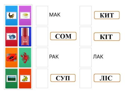 Читання слів три букви