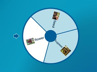 Weekly test -Science 