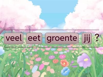  vraagzinnen maken 