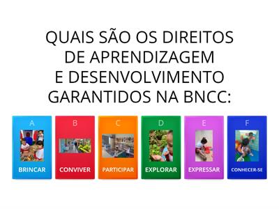 DIREITOS DE APRENDIZAGEM E DESENVOLVIMENTO NA EDUCAÇÃO INFANTIL