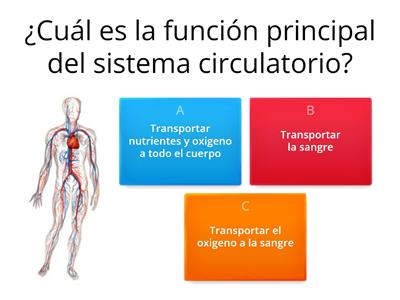 Sistema Circulatorio