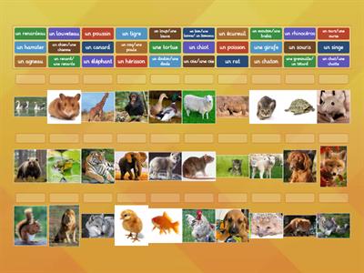 Français Les animaux